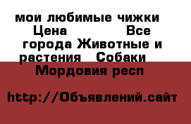 мои любимые чижки › Цена ­ 15 000 - Все города Животные и растения » Собаки   . Мордовия респ.